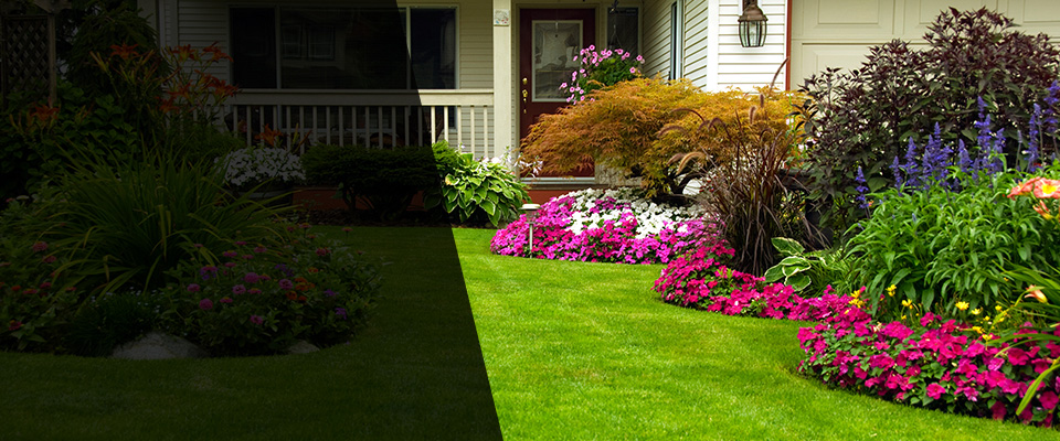 Albuquerque Landscapers