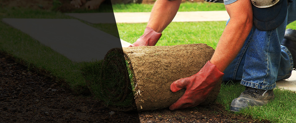 Albuquerque Landscapers
